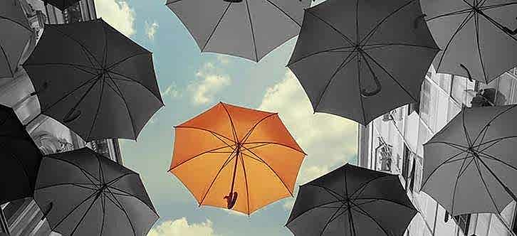 Marka Tescil Hizmeti